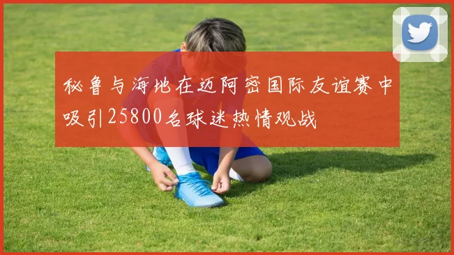 秘鲁与海地在迈阿密国际友谊赛中吸引25800名球迷热情观战
