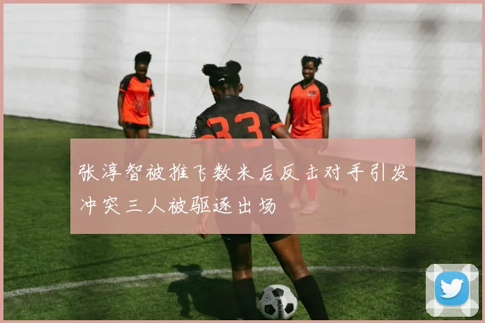 张淳智被推飞数米后反击对手引发冲突三人被驱逐出场